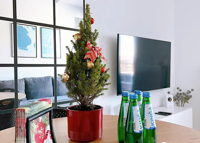 Vistula Riverside * Kraków